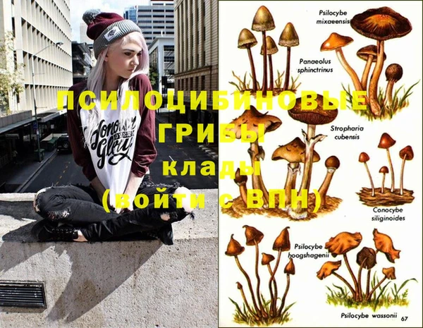 дживик Арсеньев