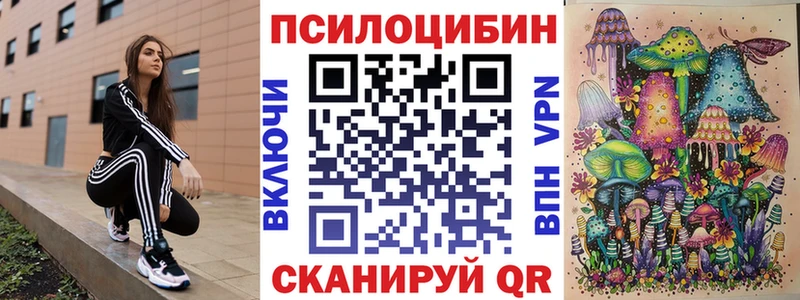 продажа наркотиков  Билибино  Галлюциногенные грибы Cubensis 